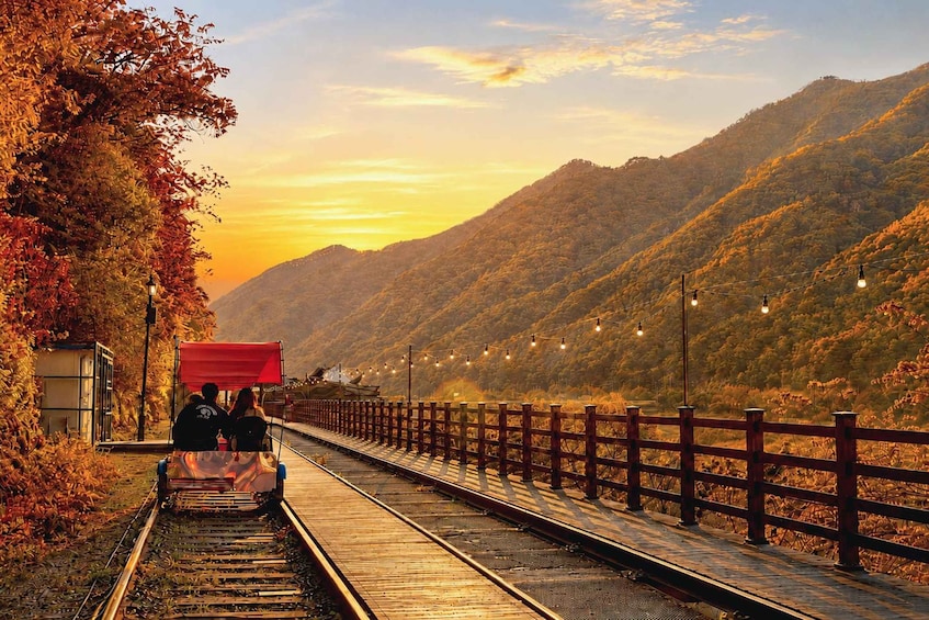 Picture 1 for Activity Seoul: Nami Island and Garden of Morning Calm opt Railbike 4