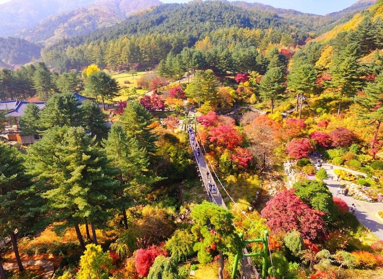 Picture 13 for Activity Seoul: Nami Island and Garden of Morning Calm opt Railbike 2