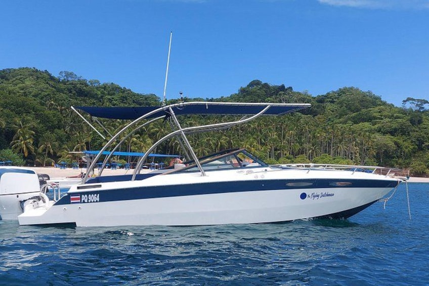 A white and blue speedboat with a canopy, docked near a beach with palm trees and a clear blue sky. 5