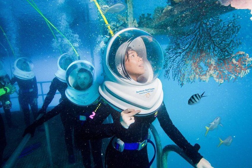 A diver in a wetsuit and helmet underwater, surrounded by marine life and coral. 2
