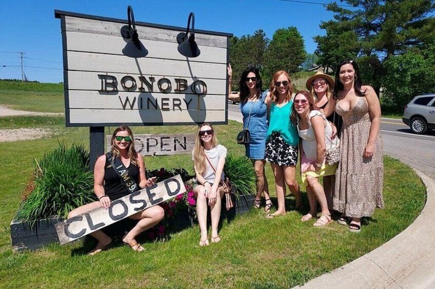 NON-BUS 4 Winery Traverse Wine Tour on Old Mission - ICE COLD AC 2