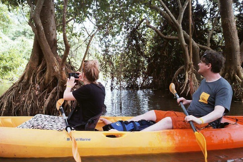 Two people kayaking on a river surrounded by trees. 4