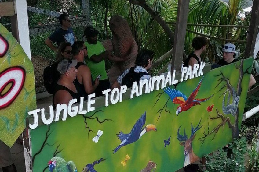 Roatan Sloths & Monkeys, Chocolate Factory plus Beach Break 4
