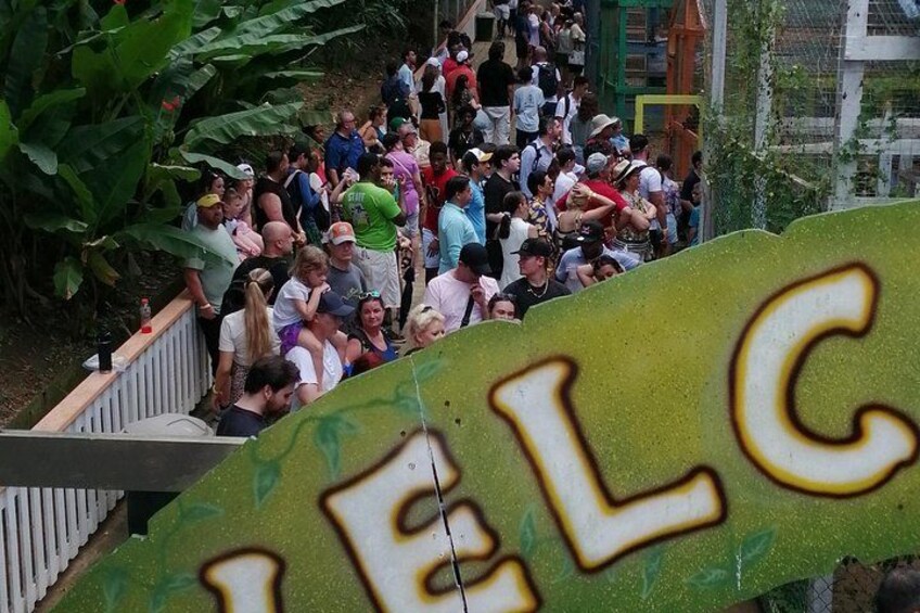 Roatan Sloths & Monkeys, Chocolate Factory plus Beach Break 3