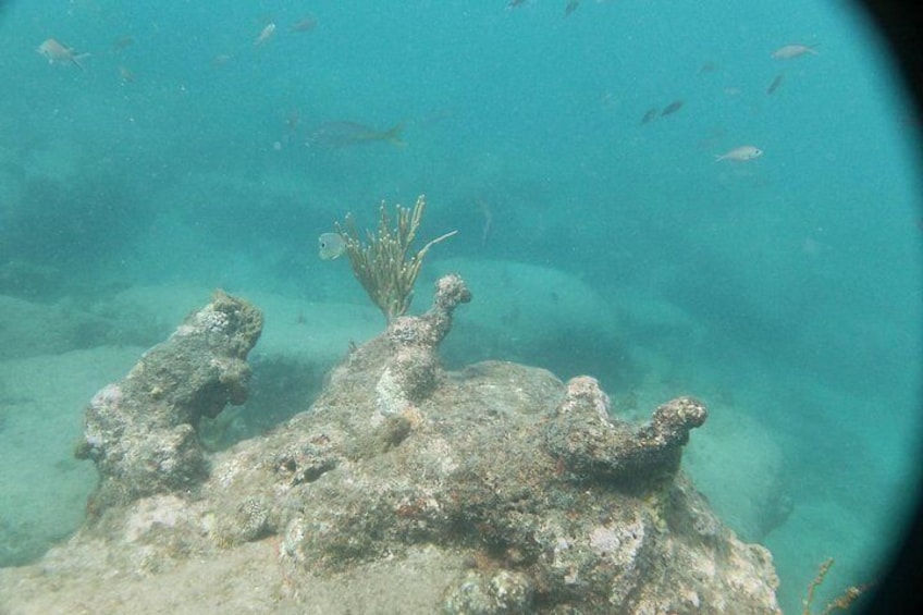 An underwater scene with coral formations and fish swimming around. 4