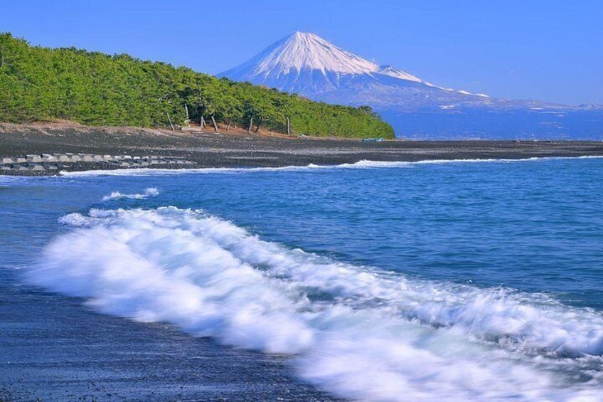 A beach with waves, a forest, and a mountain. 2