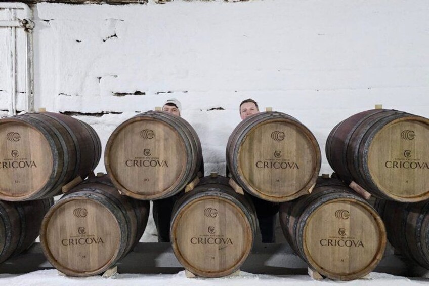 Wooden barrels stacked against a white wall. 5