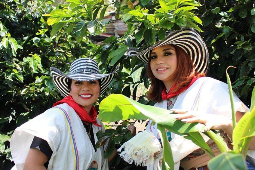 Coffee tour in Medellín with tastings and transportation 2