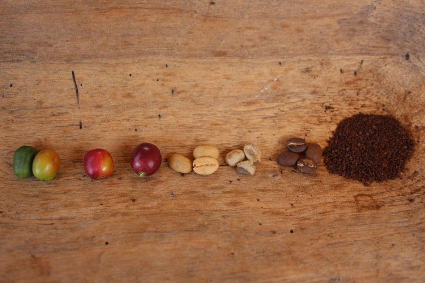 A wooden surface with various objects arranged in a line. 4