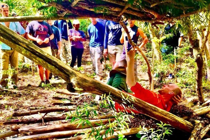 A group of people navigating a forested area with a fallen tree. 2