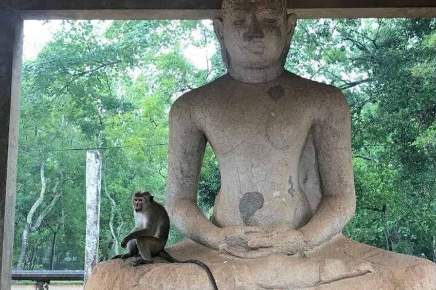 Private Guided Anuradhapura Bicycle Heritage Tour with Ajee 4