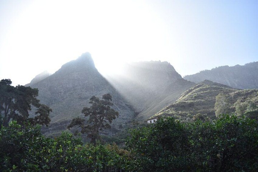 Private Shore Excursion in Gran Canaria 2