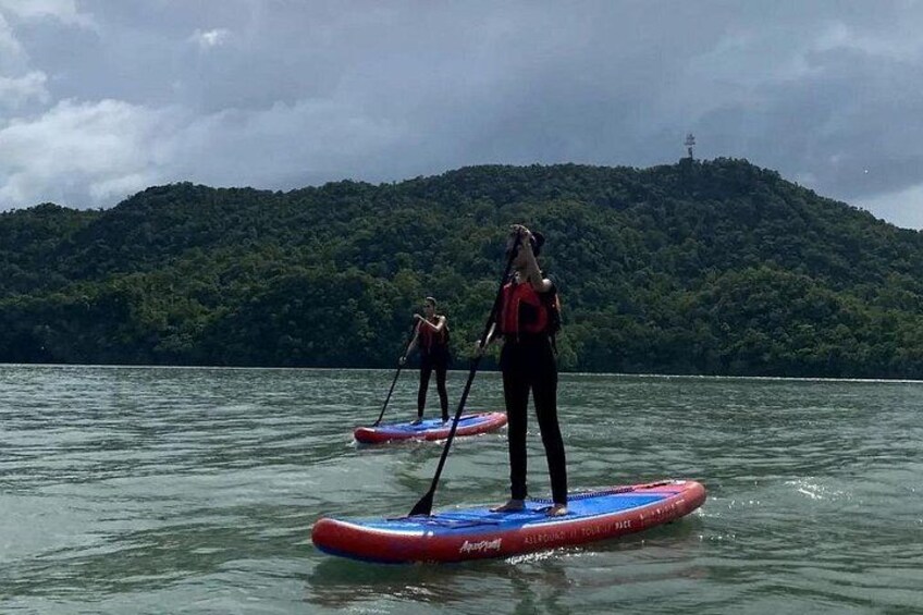 Sharing Kayak Expedition - Discover Langkawi’s Secret Mangroves 3