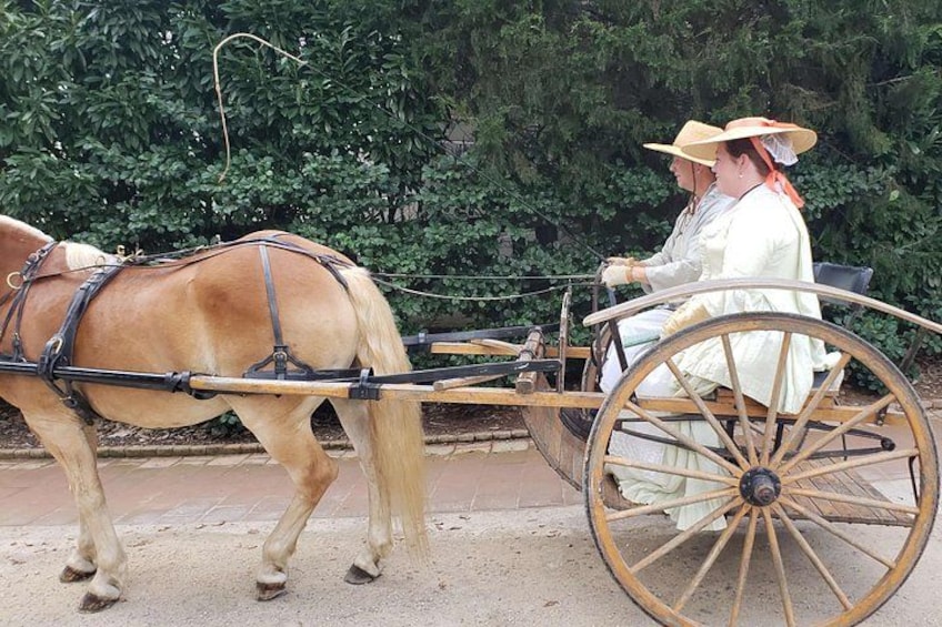 Historic horse-drawn carriage at Mount Vernon, demonstrating how people traveled during George Washington’s time. 4