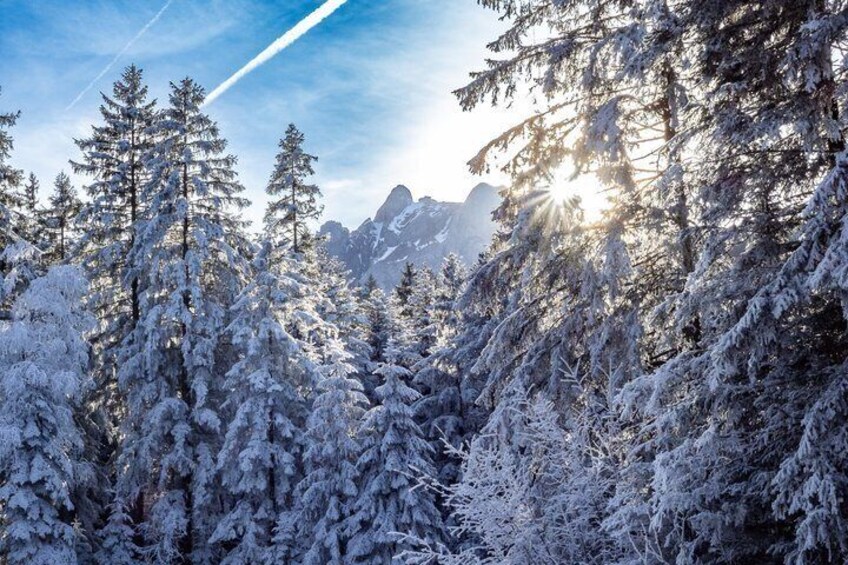 Mt. Pilatus Gondola and Aerial Cableway Ticket from Kriens 3