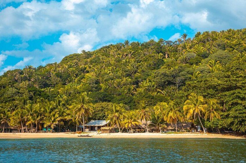 A tropical beach with palm trees, a sandy shore, and a hill with dense vegetation. 3