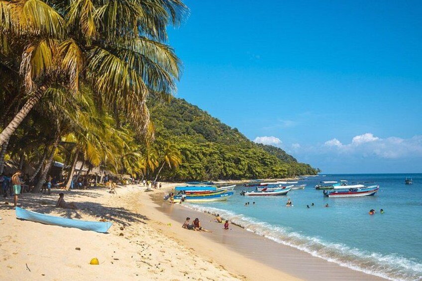 A beach with palm trees, boats, and people. 4