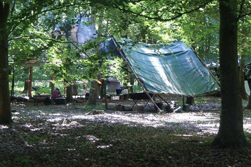 En campingplads med et tarp-ly, træer og campingudstyr. 5