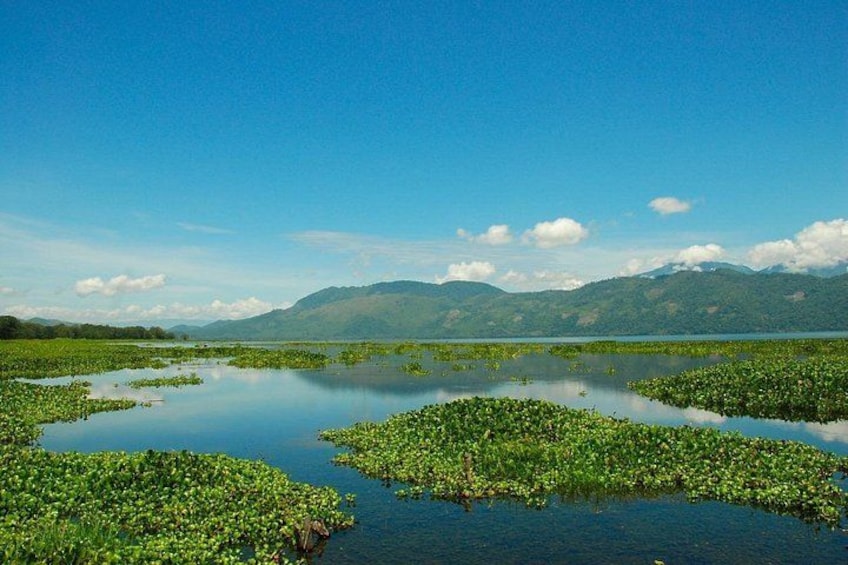 A calm lake with lily pads and mountains in the background. 2