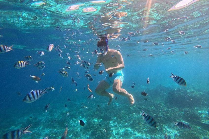 Dive in from the pier for an unforgettable snorkeling experience, where vibrant black-and-white striped tropical fish await just beneath the surface! (Taken by Gopro) 1