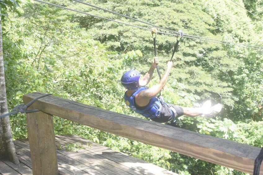 Eine Person saust mit einer Zipline durch ein bewaldetes Gebiet. 1