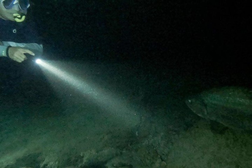 Un buceador apuntando una linterna bajo el agua. 4
