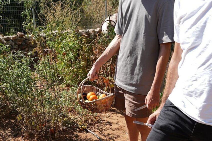 Chania Sourdough Bread Baking Class Olive Oil Tasting