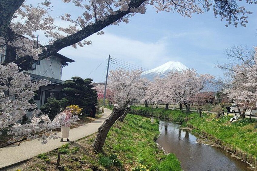 Oshino Hakkai 1