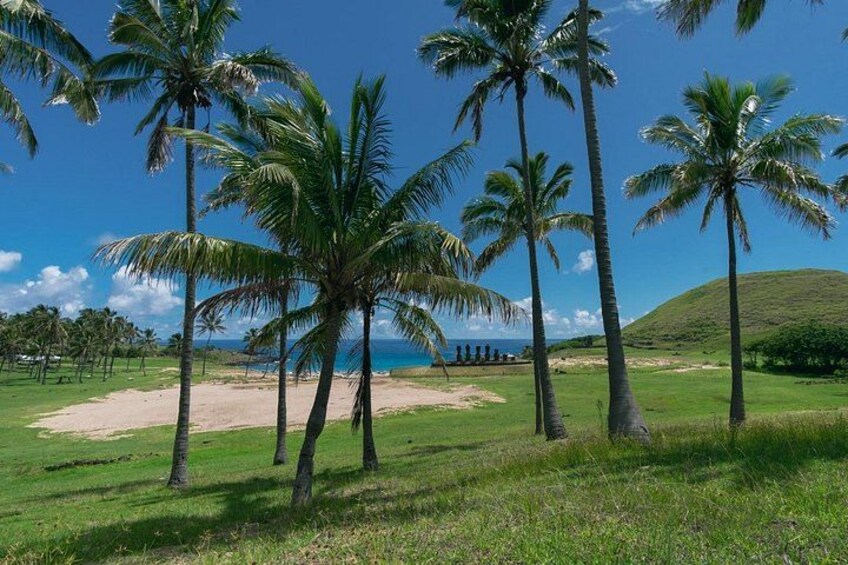 A beach with palm trees, a clear sky, and a distant view of the ocean. 2