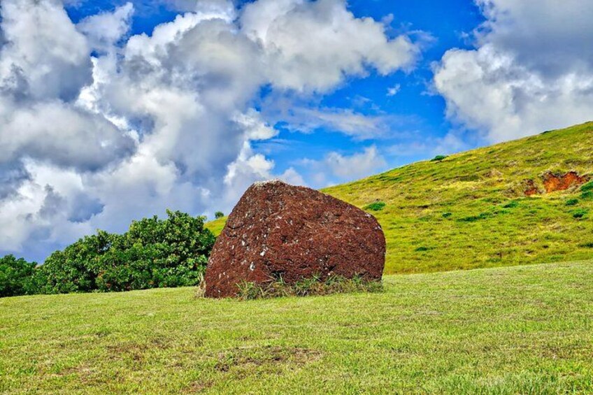 2 Days Highlights Tour in Easter Island Moai and Nature 2