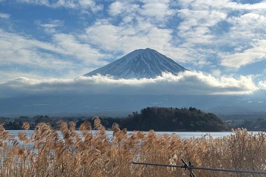 Mt. Fuji & Hakone Private Day Tour with English-Speaking Driver 1