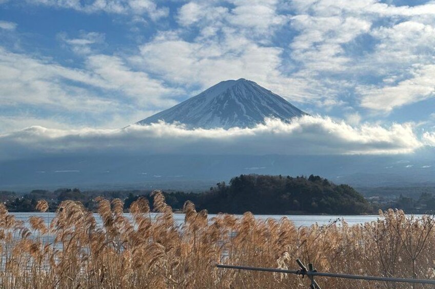 Mt. Fuji & Hakone Private Day Tour with English-Speaking Driver 1