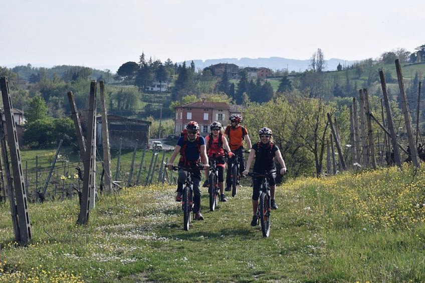 Half Day Private E bike Tour in Parma 1