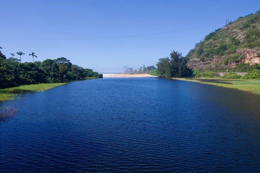 Private Tour Oahu featuring Waimea Waterfall & Botanical Garden 4
