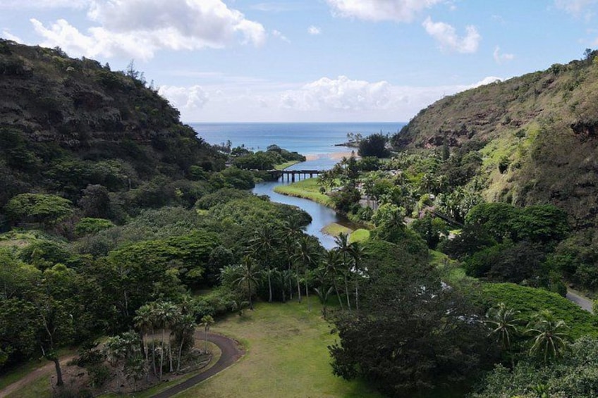 Private Tour Oahu featuring Waimea Waterfall & Botanical Garden 5