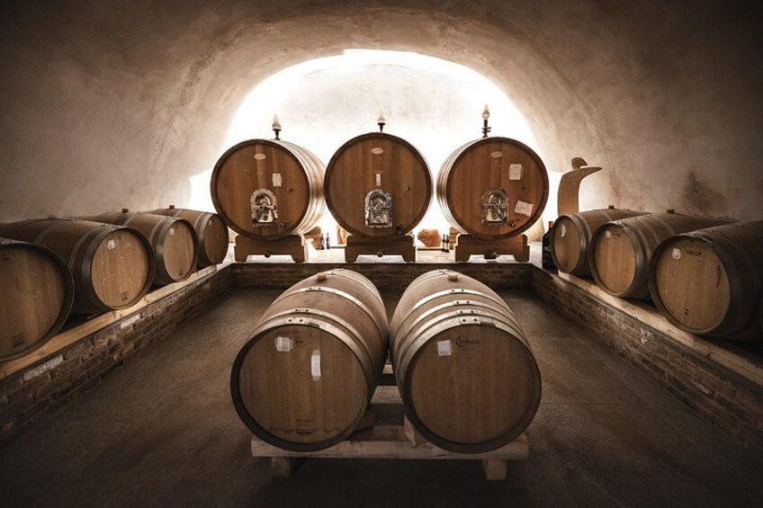 Wine Tour and tasting in the Monferrato - Premium 3
