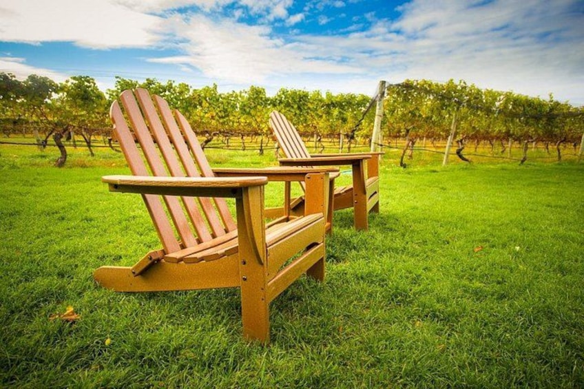 Two Adirondack chairs in a grassy field with a vineyard in the background. 1