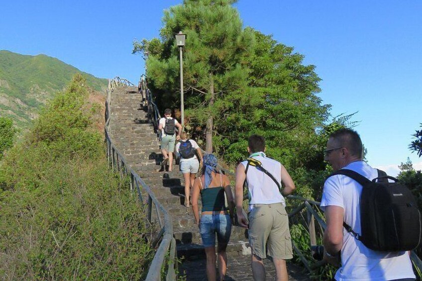 Guided 4x4 Adventure and Skywalk with Wine and Tapas in Madeira 2
