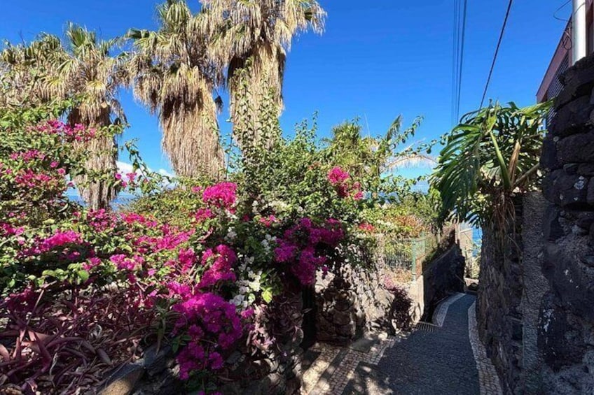 Madeira: Sunny South Side - Cable Car Rancho, Pta Sol, Jardim Mar 3
