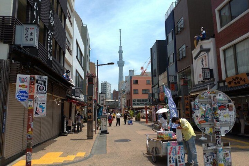 Asakusa Senso-ji Temple and Old Tokyo Walking Tour 2