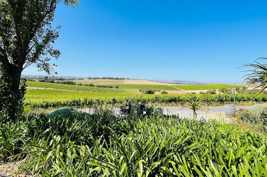 A rural landscape with a tree, a pond, and fields. 2