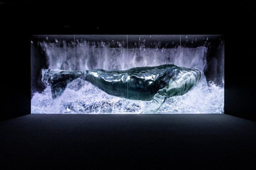 Une baleine nageant dans l’eau. 4