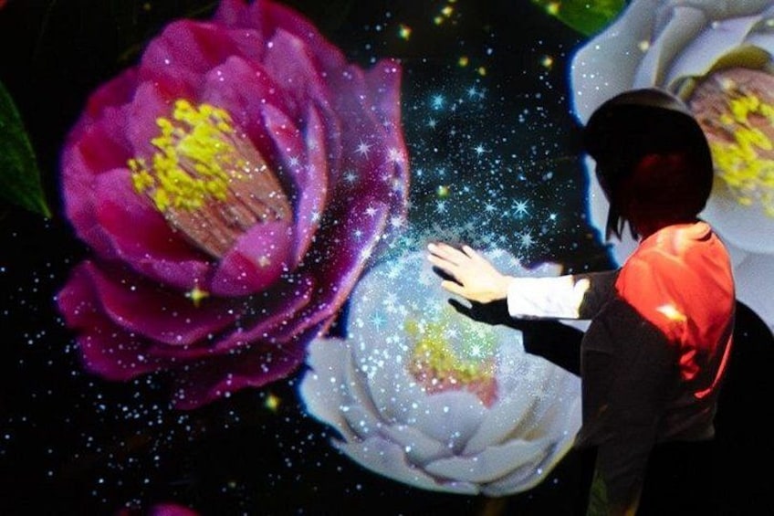 A person reaching out towards a large flower. 2