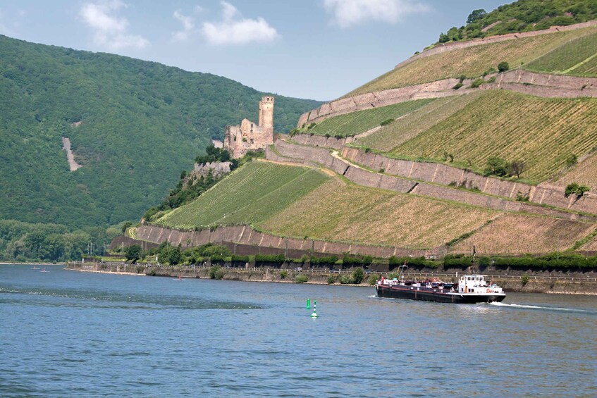 A river with a boat, a castle on a hill, and green vineyards. 3