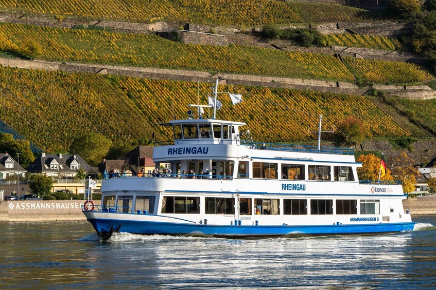 A blue and white boat named RHEINGAU on a river with a vineyard in the background. 1