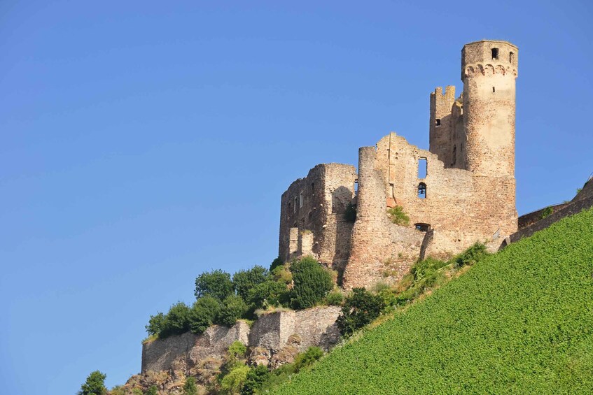A medieval castle on a hill with a clear sky. 2