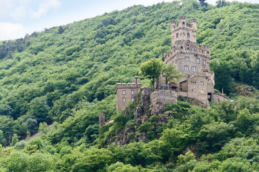 A castle on a hill surrounded by lush greenery. 5