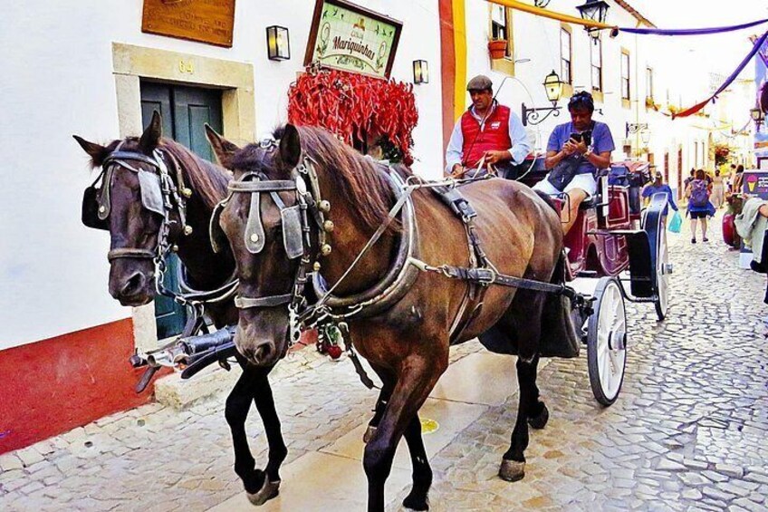 A horse-drawn carriage on a cobblestone street. 4