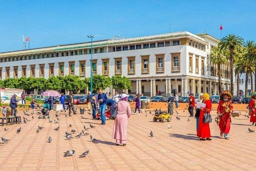 Private Guided Tour of Casablanca Including Mosque Entrance 2