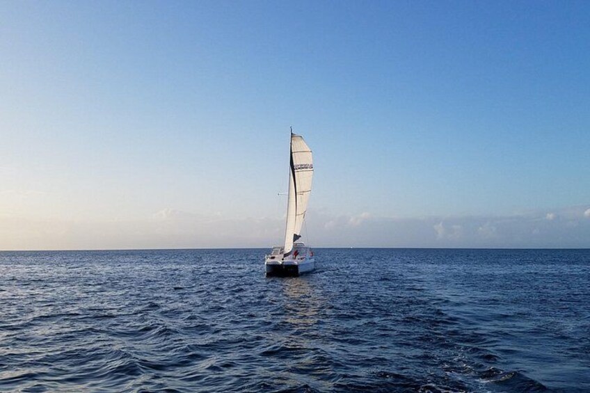 Catamaran Sailing Cruise in Monterey 3